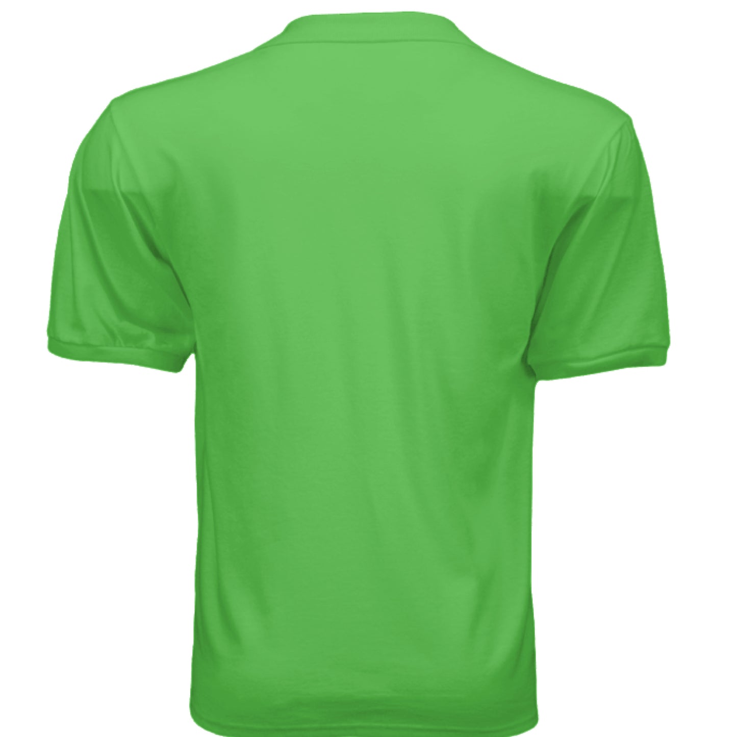 KIWI - BACK